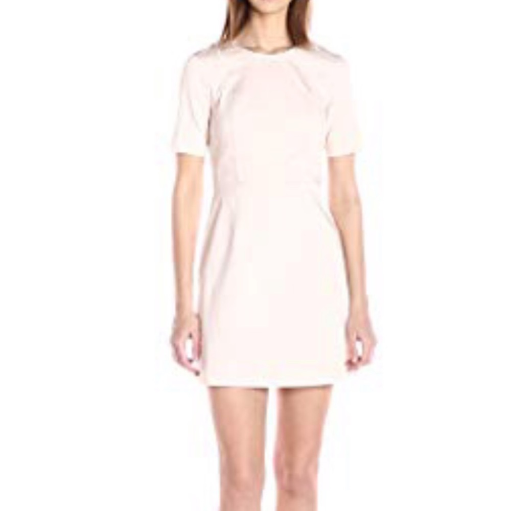 French Connection Blush Sheath Dress